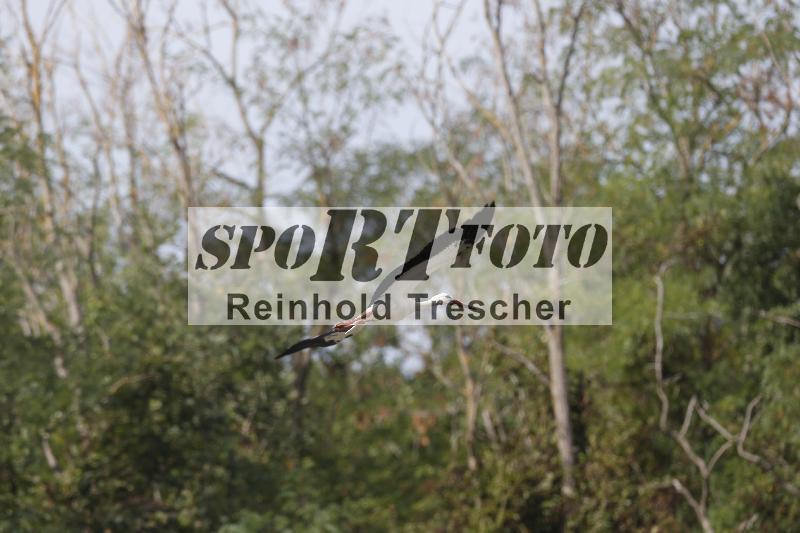 /40 24.08.2026  Cornu Master School ADR/Impressionen
